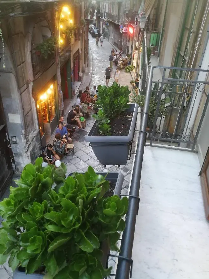 San Francesco Rooms And Apartment With Terrace In Palermo Locazione Turistica 2*,
